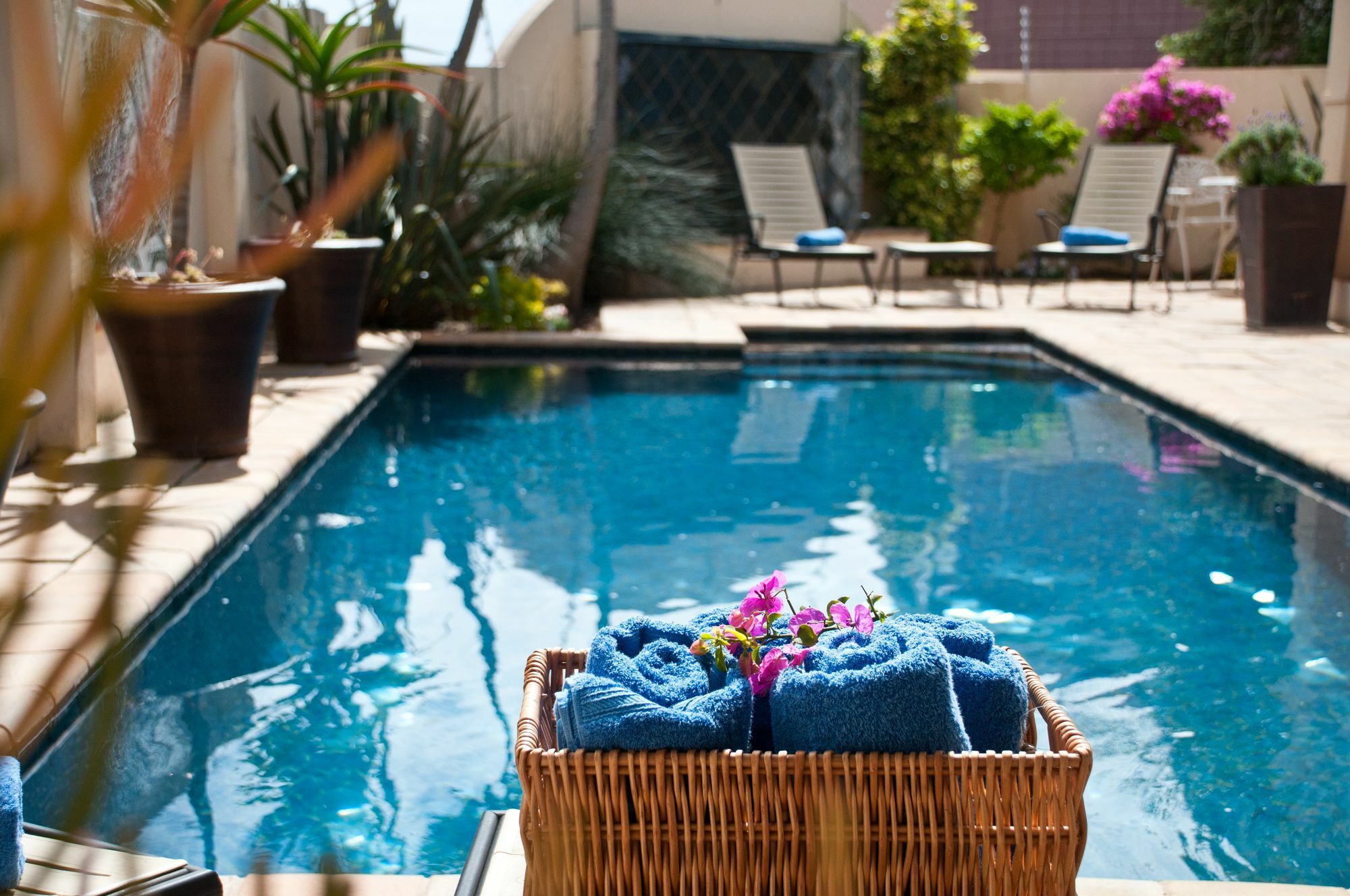 Cape Flame Guest House Port Elizabeth Esterno foto